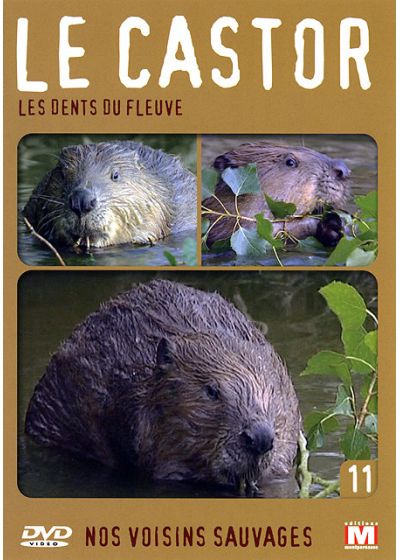Nos voisins sauvages Vol. 11 - Le castor : Les dents du fleuve - DVD