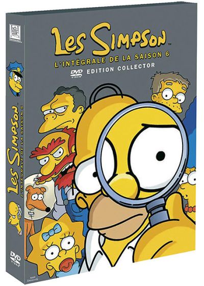 Les Simpson - La Saison 6 (Édition Collector) - DVD