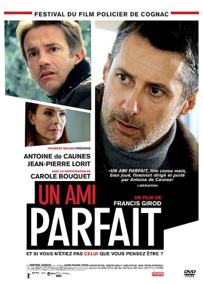 Un Ami parfait - DVD