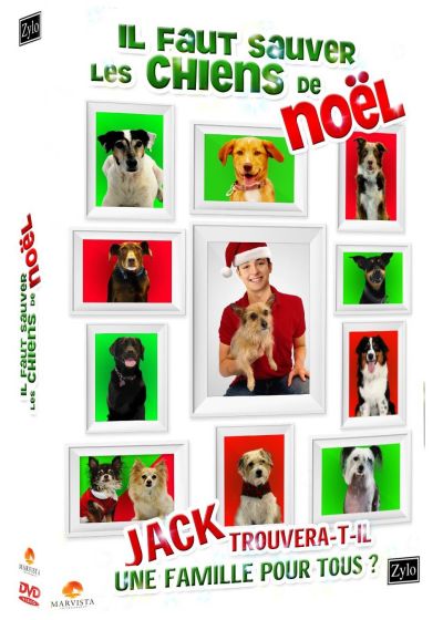 Il faut sauver les chiens de Noël - DVD