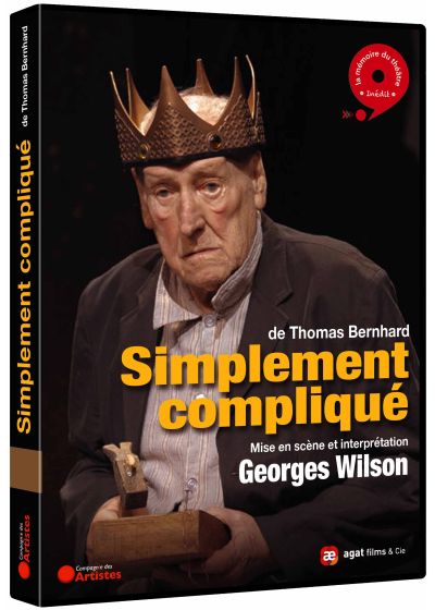 Simplement compliqué - DVD