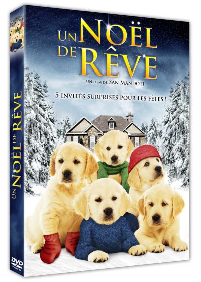 Un Noël de rêve - DVD