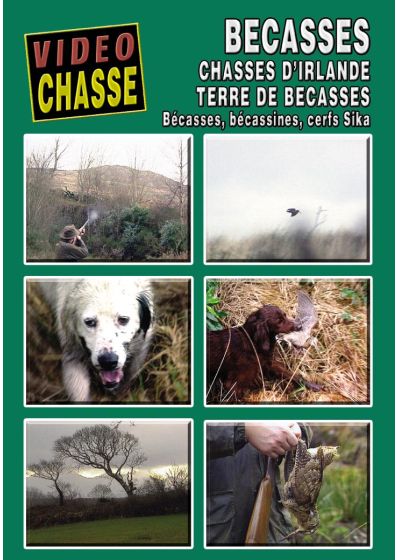 Bécasse : Chasses d'Irlande, terre de bécasses - DVD