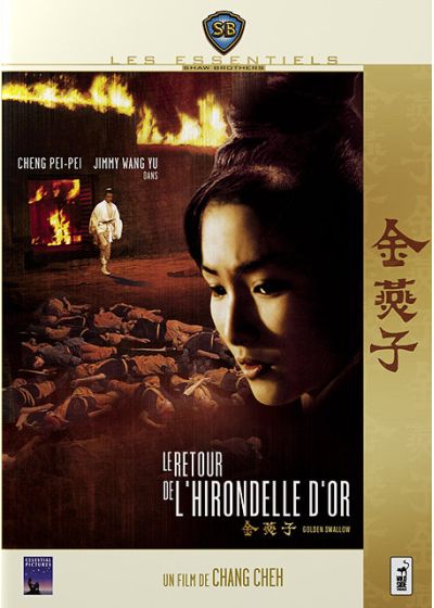 Le Retour de l'hirondelle d'or - DVD