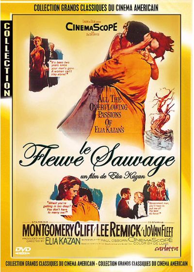 Le Fleuve sauvage - DVD