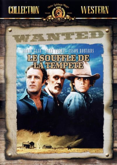 Le Souffle de la tempête - DVD