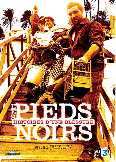 Les Pieds noirs : histoires d'une blessure - DVD