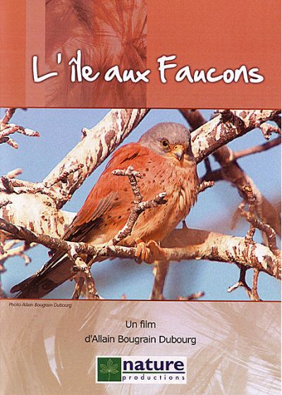 L'Ile ax faucons - DVD
