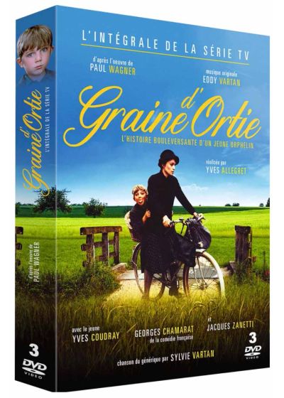 Graine d'ortie