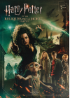 Harry Potter et les Reliques de la Mort - 1ère partie (20ème anniversaire Harry Potter) - DVD