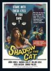Le Spectre du chat (Édition Collector) - DVD
