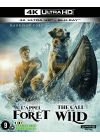 L'Appel de la forêt (4K Ultra HD + Blu-ray) - 4K UHD