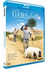 Le Cochon de Gaza - Blu-ray