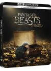 Les Animaux fantastiques (Édition Limitée SteelBook 4K Ultra HD + Blu-ray) - 4K UHD