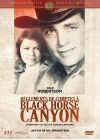 La Règlements de comptes à Black Horse Canyon - DVD