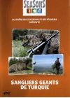 Sangliers géants de Turquie - DVD