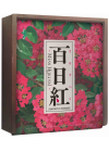Miss Hokusai (Édition Ultimate - Blu-ray + DVD) - Blu-ray