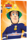 Sam le Pompier - Volume 11 : Le feu d'artifice - DVD