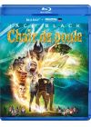 Chair de poule - Le film - Blu-ray