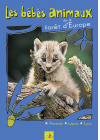 Les Bébés animaux des forêts d'Europe - DVD