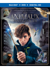 Les Animaux fantastiques (Combo Blu-ray + DVD) - Blu-ray