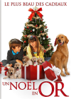 Un Noël en or - DVD