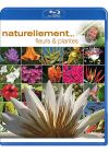 Antoine - Naturellement... - Fleurs & plantes (Combo Blu-ray + DVD) - Blu-ray