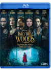 Into the Woods : Promenons-nous dans les bois - Blu-ray