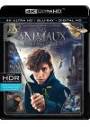 Les Animaux fantastiques (4K Ultra HD + Blu-ray + Digital HD) - 4K UHD