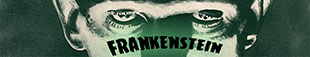Frankenstein (Universal Monsters)