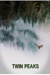 Twin Peaks - Visuel par TvDb